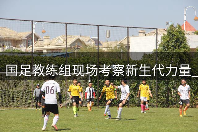 国足教练组现场考察新生代力量 5名年轻球员成重点目标