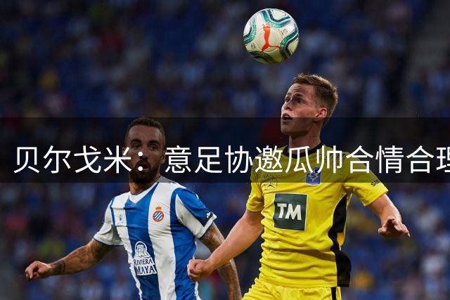 贝尔戈米：意足协邀瓜帅合情合理，理解其选择