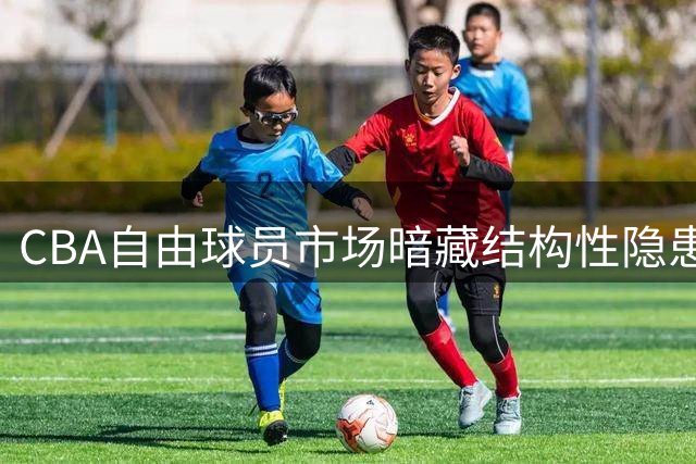 CBA自由球员市场暗藏结构性隐患